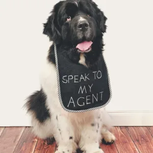 Life According to Monty Dogge